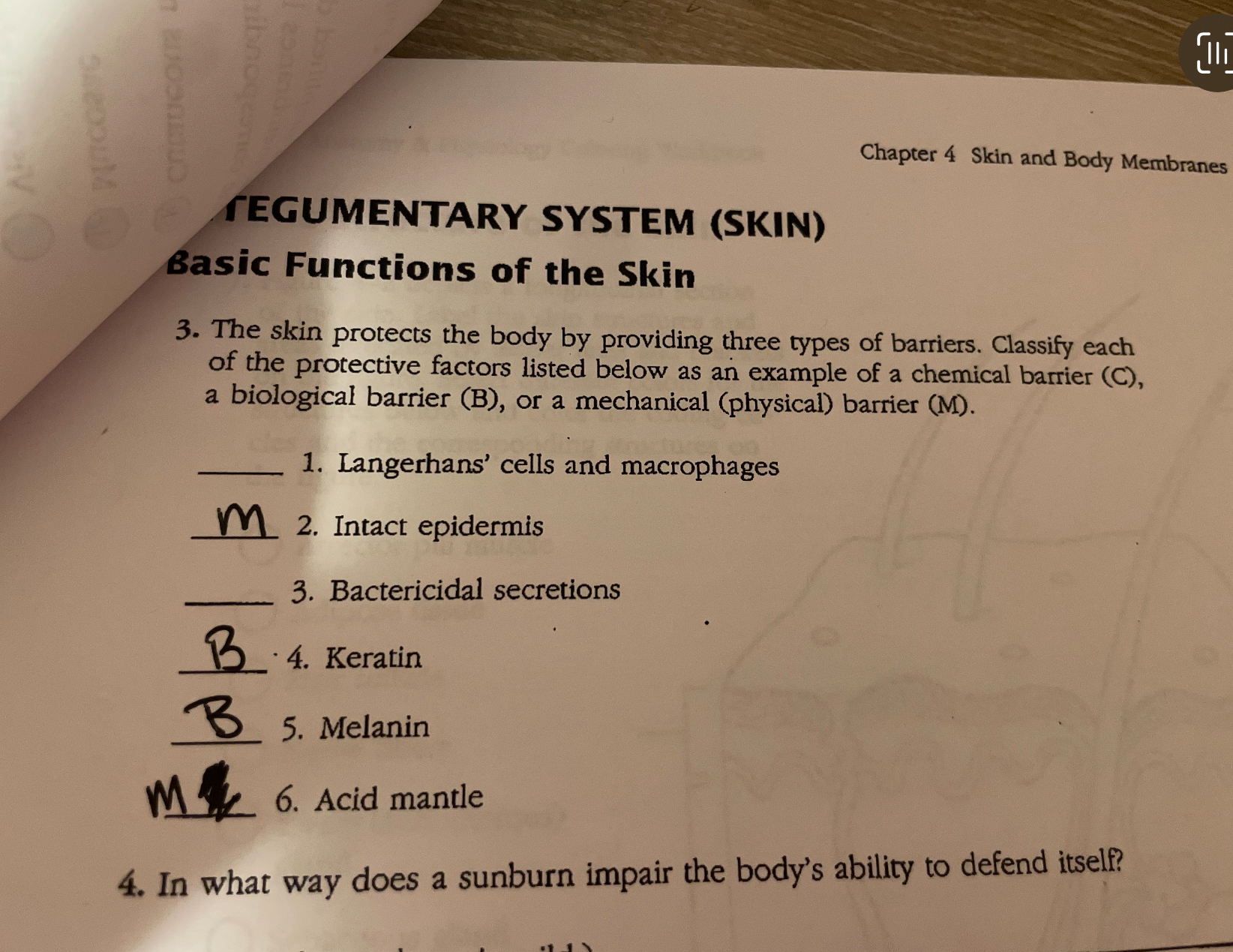 Solved Chapter 4 ﻿Skin and Body MembranesFEGUMENTARY SYSTEM | Chegg.com