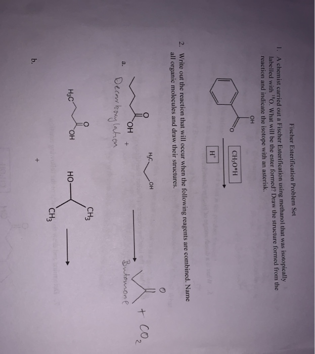 Solved Fischer Esterification Problem Set 1. A Chemist 