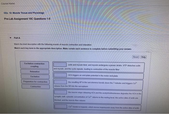 Solved Match the definition with the appropriate term Match