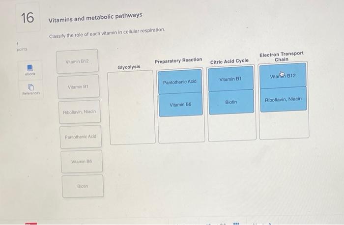 Vitamins and metabolic pathways Classify the role of | Chegg.com