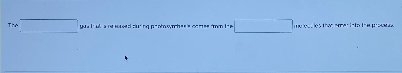 solved-the-gas-that-is-released-during-photosynthesis-comes-chegg