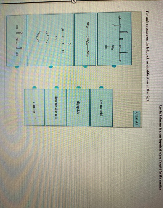 Solved Choose the amino acids from the list below that could | Chegg.com
