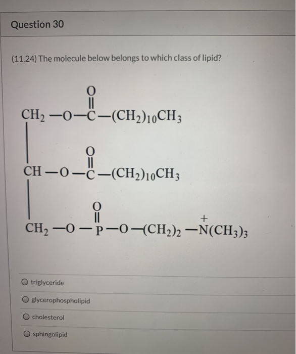 Solved Question 30 (11.24) The molecule below belongs to | Chegg.com