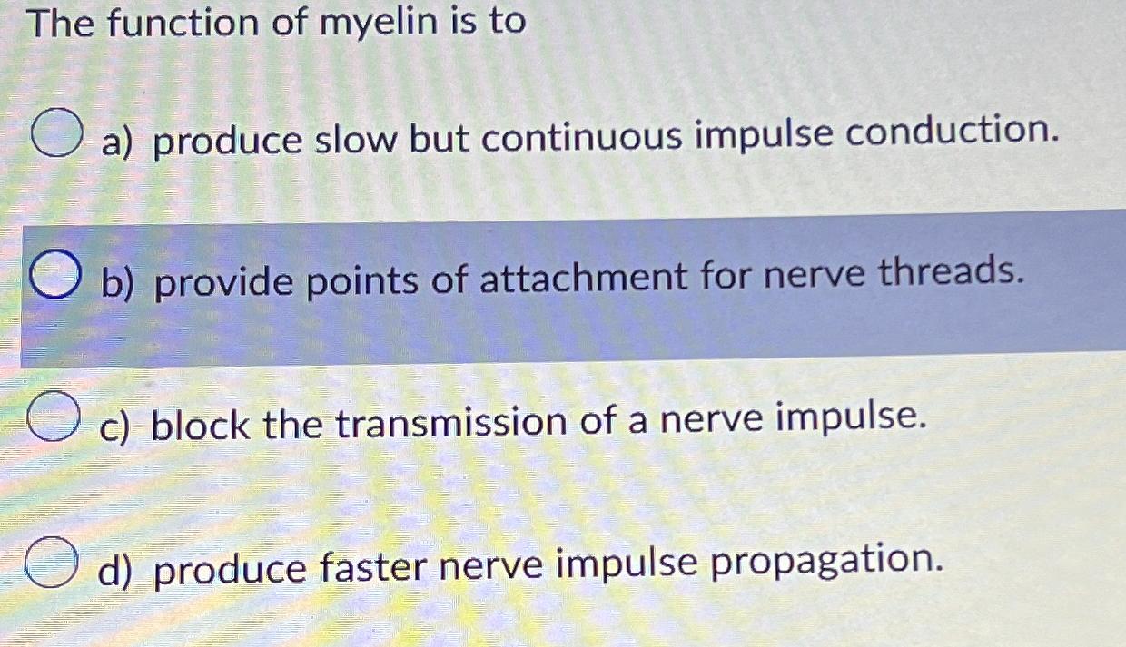 Solved The function of myelin is toa) ﻿produce slow but | Chegg.com