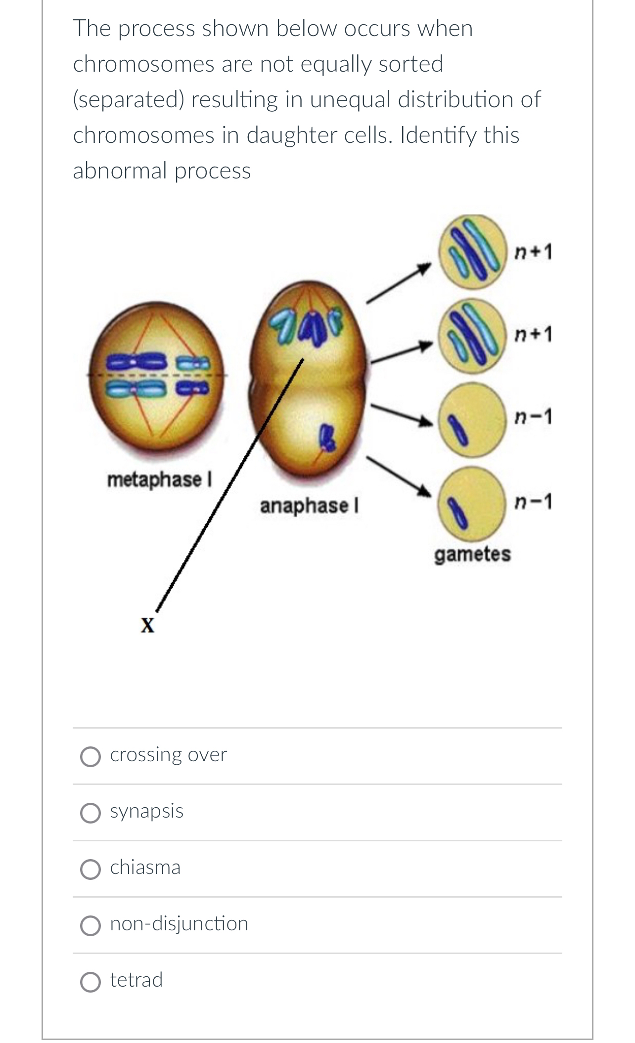 Solved The process shown below occurs when chromosomes are | Chegg.com