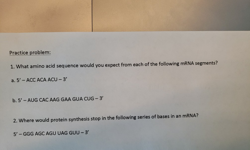 Solved Practice problem: 1. What amino acid sequence would | Chegg.com