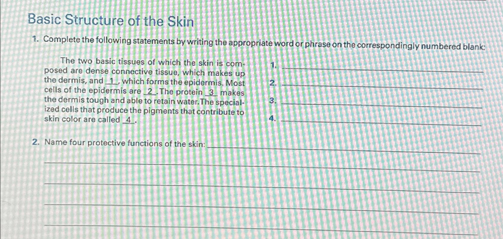 Solved Basic Structure of the SkinComplete the following | Chegg.com