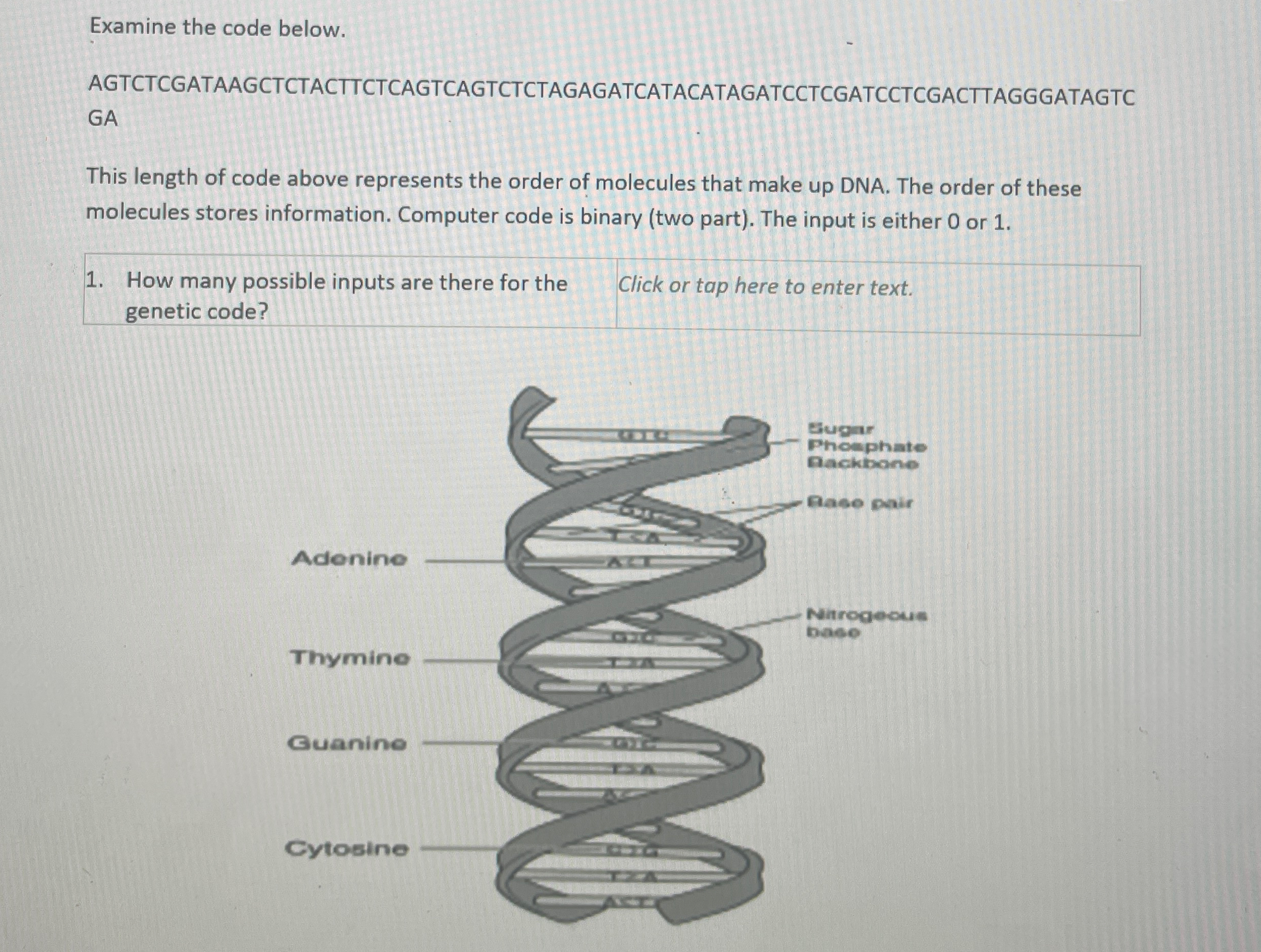 Examine the code | Chegg.com