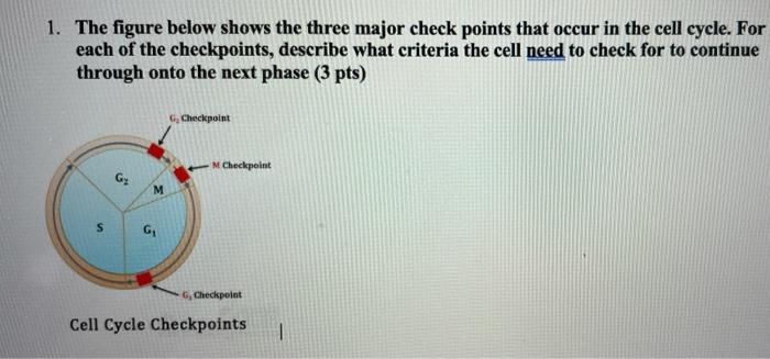 Solved 1. The figure below shows the three major check | Chegg.com