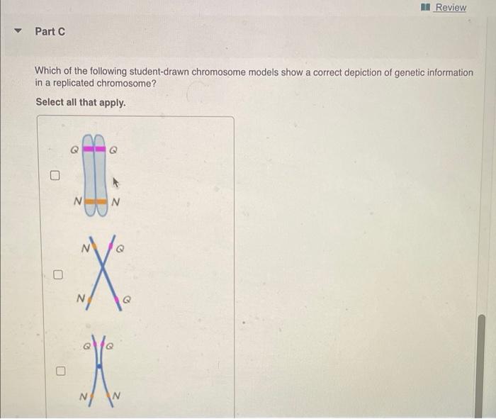 Solved Review Part C Which of the following student-drawn | Chegg.com
