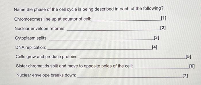Solved Name the phase of the cell cycle is being described | Chegg.com