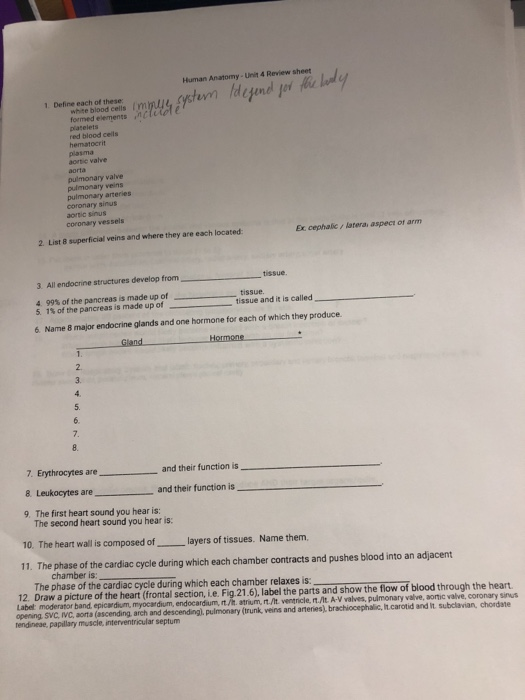 Solved Human Anatomy Unit 4 Review sheet ell ystem Idegene