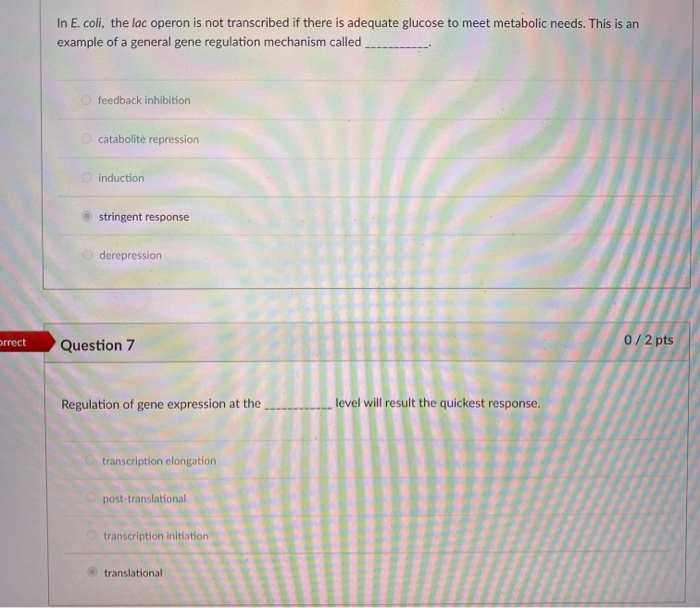 Solved In E.coli, the lac operon is not transcribed if there | Chegg.com