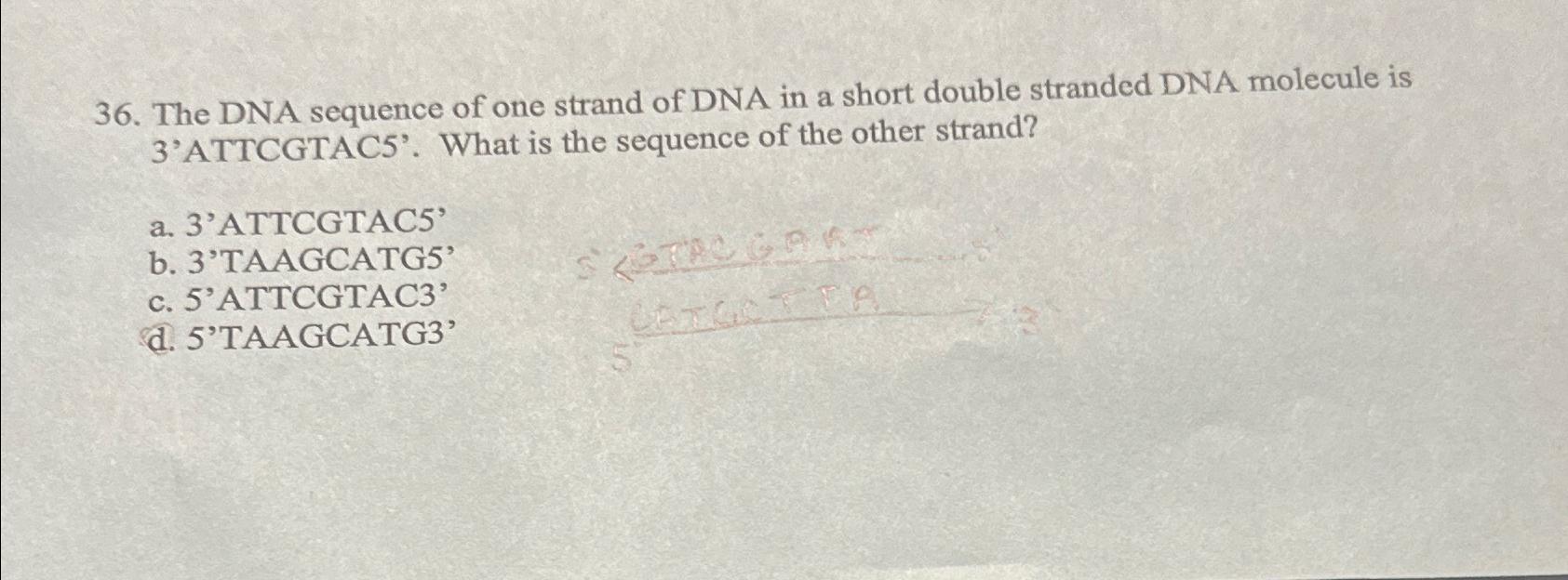 Solved The DNA sequence of one strand of DNA in a short | Chegg.com