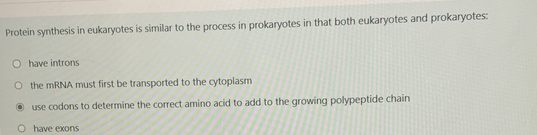 mechanism of protein synthesis in prokaryotes and eukaryotes