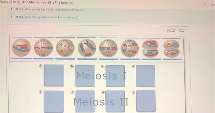 Solved Ssis (2 Of 3): The Mechanism (BioFlix Tutorial) Hint | Chegg.com