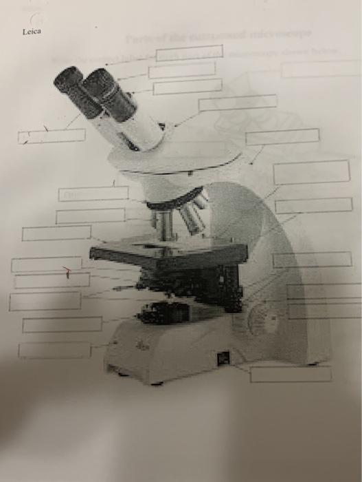 Solved Leica | Chegg.com