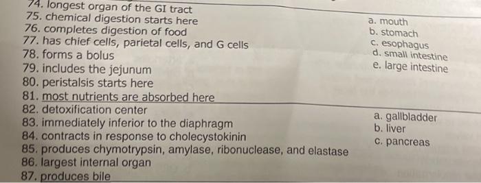 Solved 74. longest organ of the GI tract 75. chemical | Chegg.com