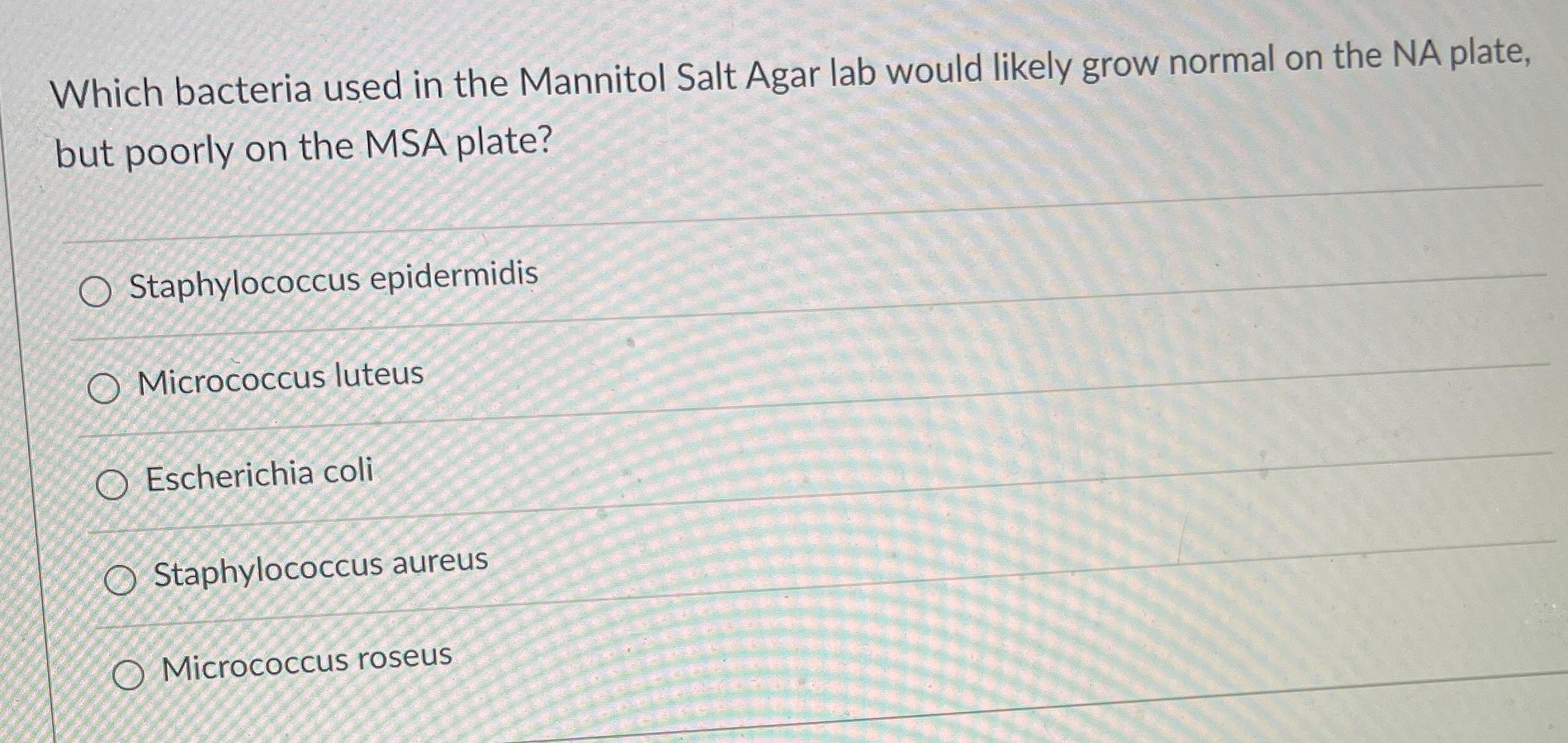 Solved Which bacteria used in the Mannitol Salt Agar lab | Chegg.com