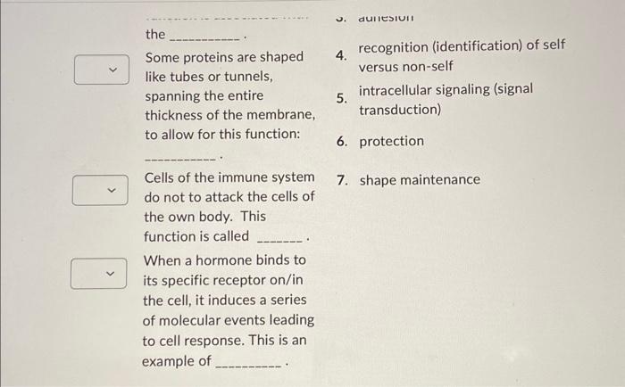 Solved This question is about cell membrane structure and | Chegg.com