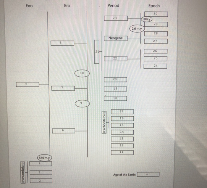 Solved Eon Era Period Epoch 23 30 Toky 29 2.6 m.y. 28 | Chegg.com