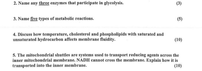 Solved 2. Name any three enzymes that participate in | Chegg.com