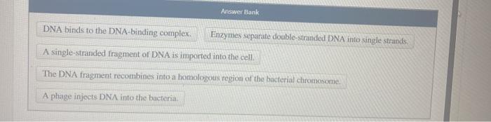 Solved Place the steps of bacterial transformation in order | Chegg.com