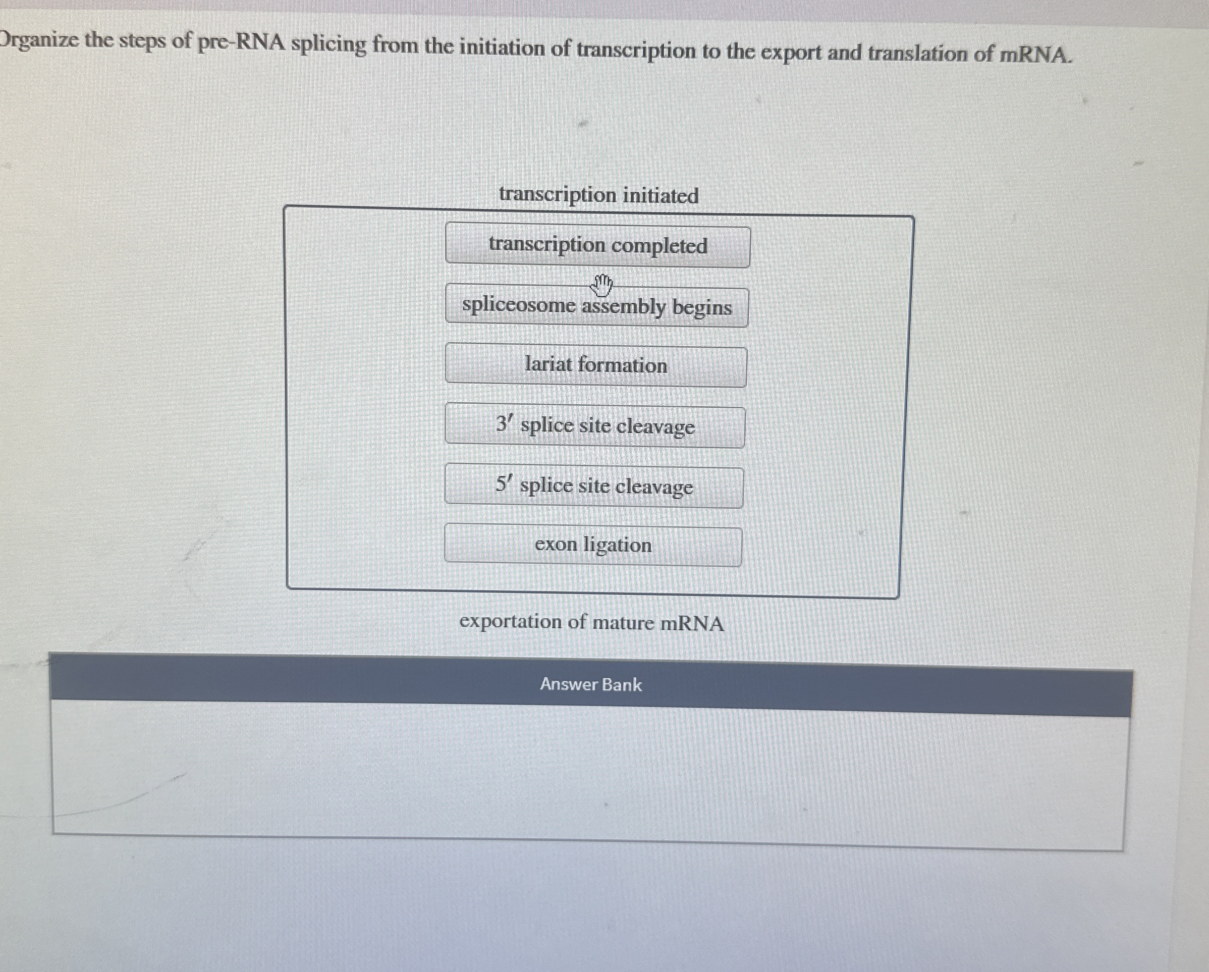 Solved Organize the steps of pre-RNA splicing from the | Chegg.com
