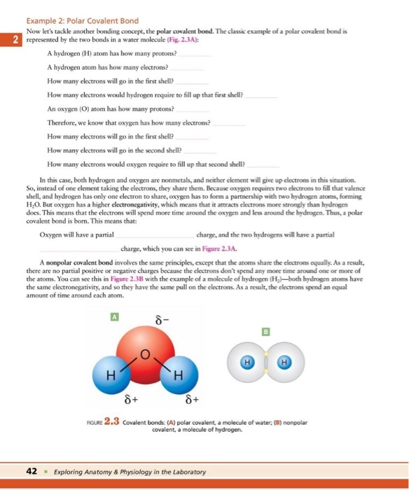 Solved 2 Pre-Lab Exercise 2-3 Chemical Bonding One Of The | Chegg.com