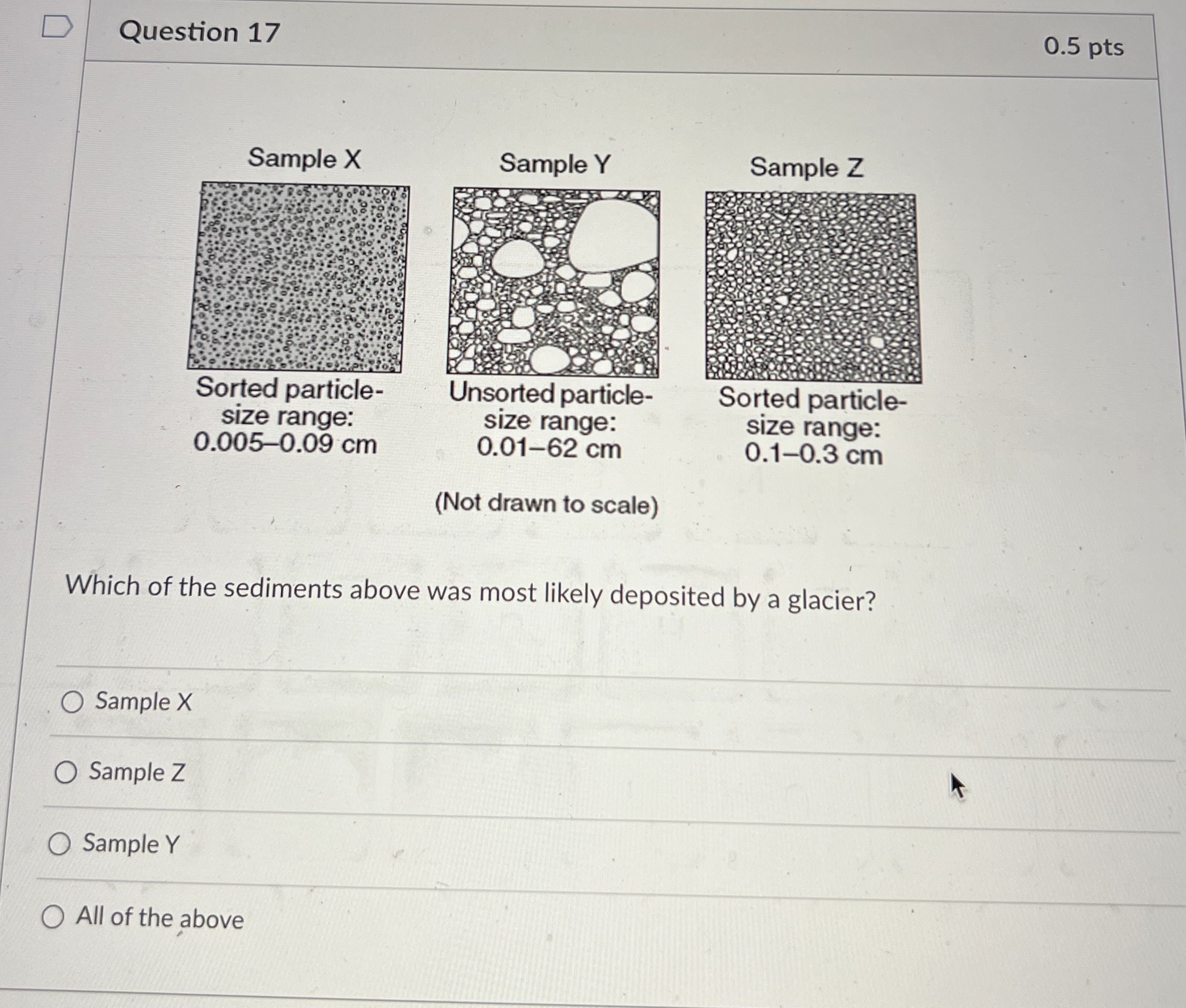 Solved Question 170.5 ﻿ptsWhich of the sediments above was | Chegg.com