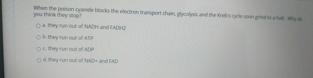 Solved The molecule illustrated in the accompanying figure | Chegg.com