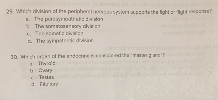 Solved 29. Which division of the peripheral nervous system | Chegg.com