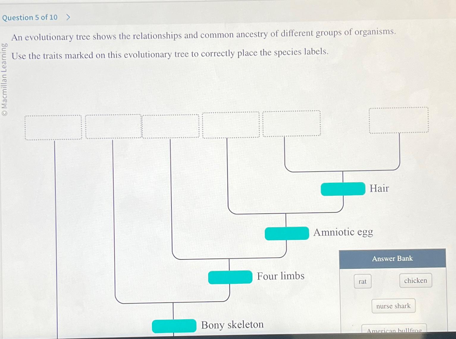 Solved Question 5 ﻿of 10An evolutionary tree shows the