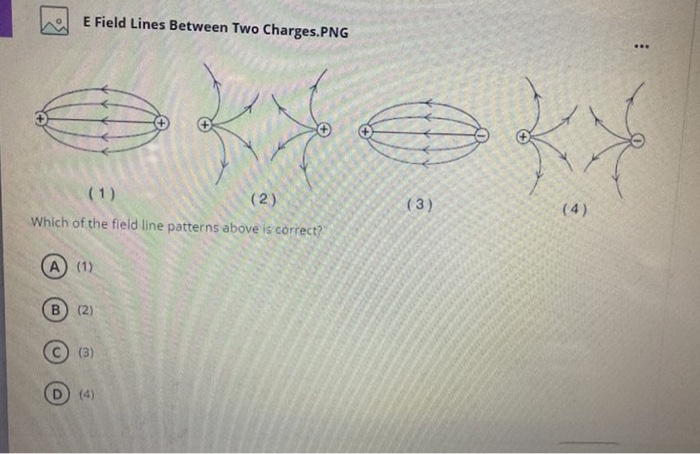Solved E Field Lines Between Two Charges.PNG (1) (2) Which | Chegg.com
