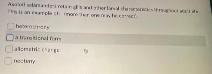 essay questions about evolution