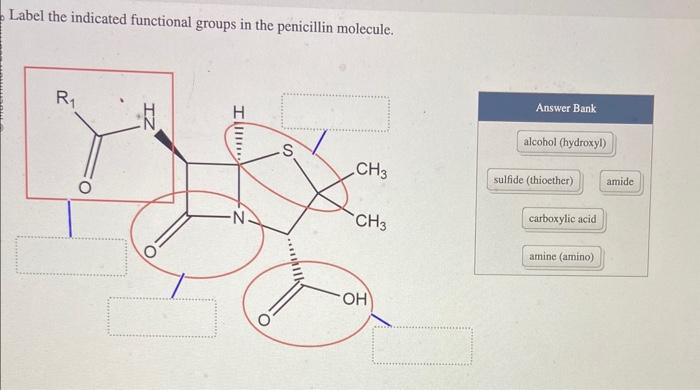 Label the indicated functional groups in the penicillin molecule.