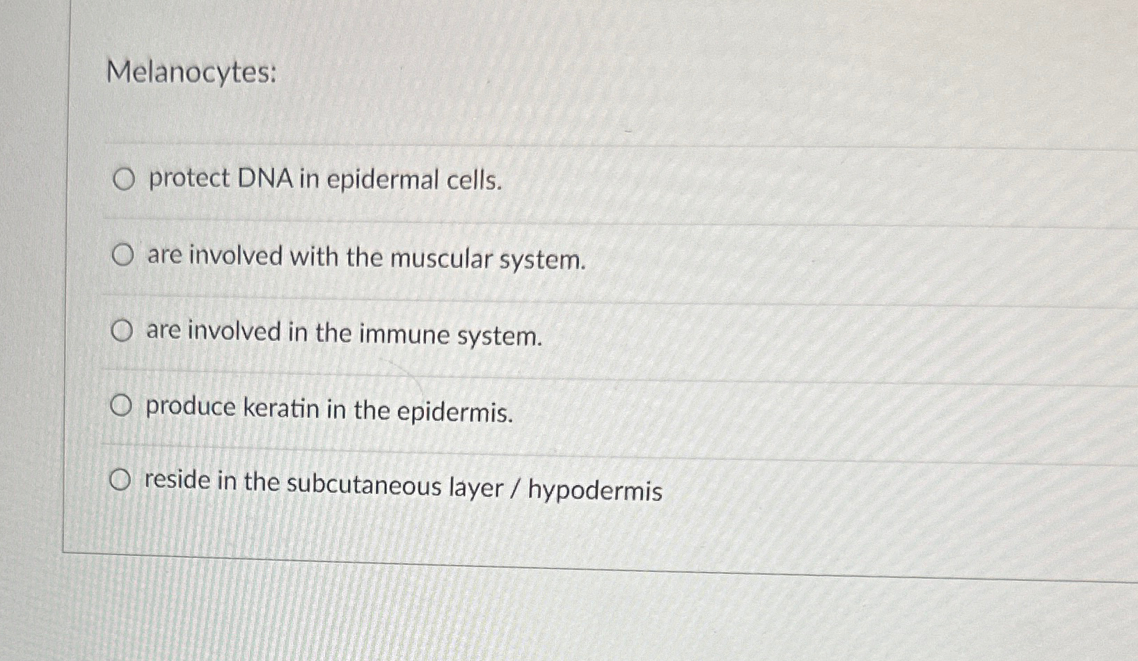 Solved Melanocytes:protect Dna In Epidermal Cells.are 