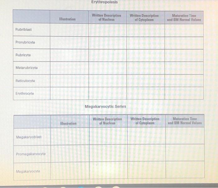 Solved Chapter 1 Study Sheet PART I: BLOOD CELL MATURATION | Chegg.com