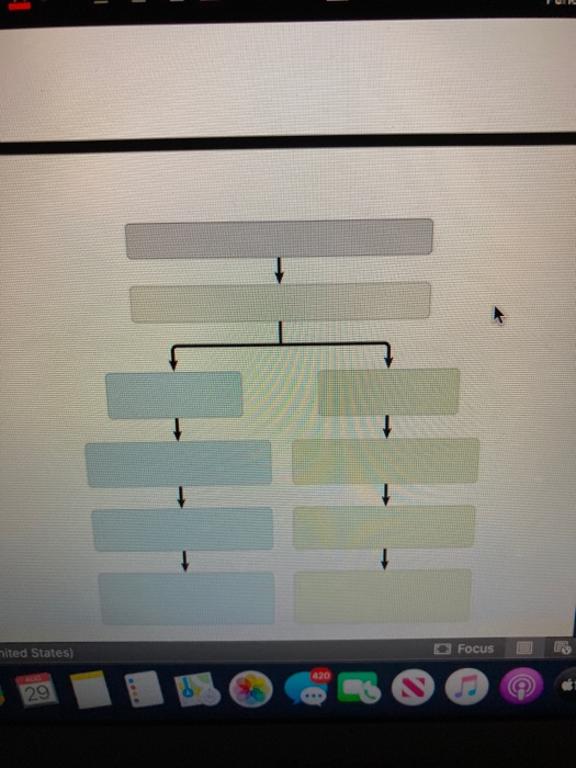 Solved using an example of your own fill in the flow chart | Chegg.com