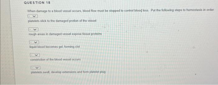 When damage to a blood vessel occurs, blood flow must be stopped to control blood loss. Put the following steps to hemostasis