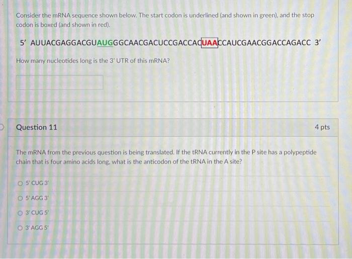 Solved Consider the mRNA sequence shown below. The start | Chegg.com