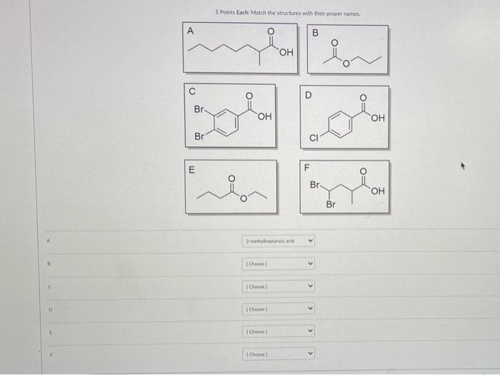 Solved 5 Points Each: Match the structures with their proper | Chegg.com