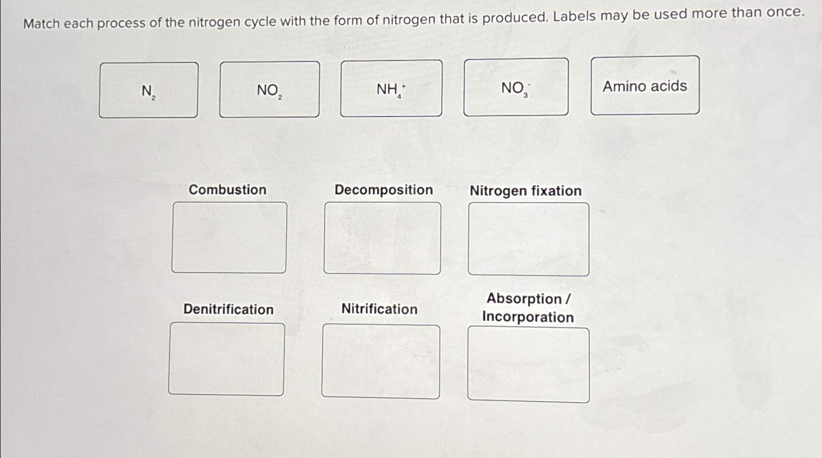 Solved Match each process of the nitrogen cycle with the | Chegg.com