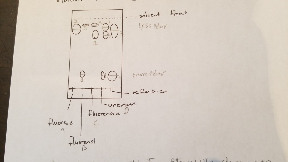 Solved Thin layer Chromatography lab (methylene chloride
