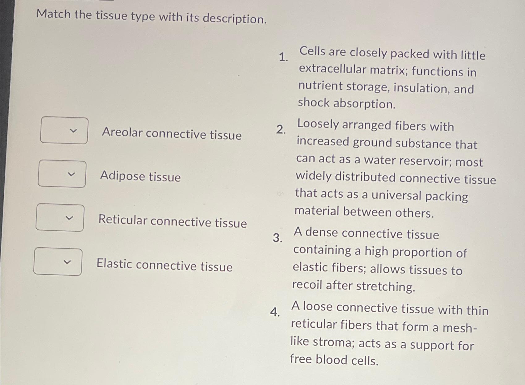 Solved Match the tissue type with its description.Cells are | Chegg.com