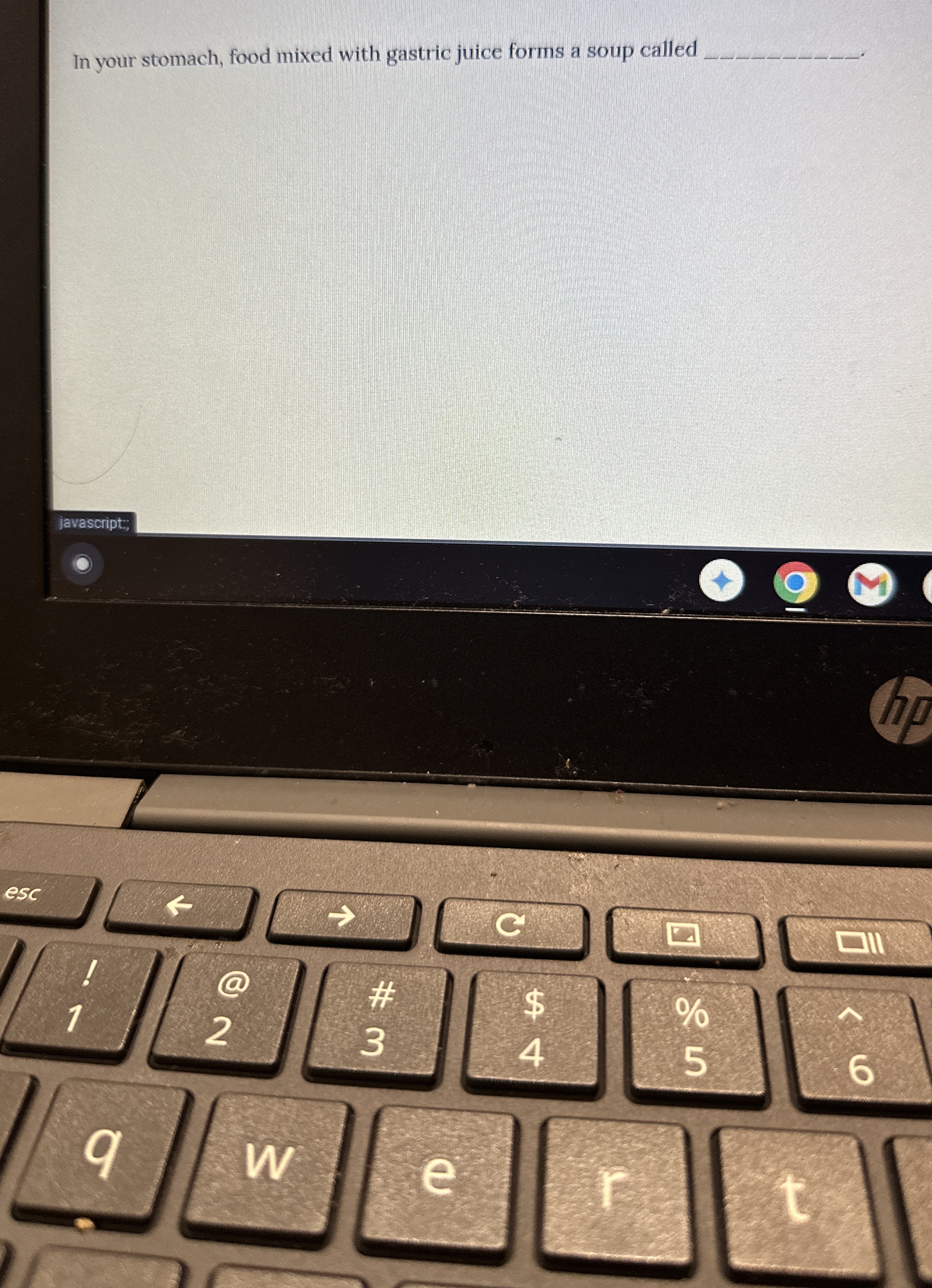 Solved In your stomach, food mixed with gastric juice forms