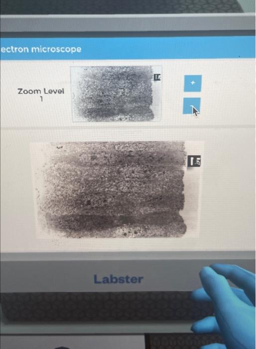 find the brush cell and zoom to level six into its