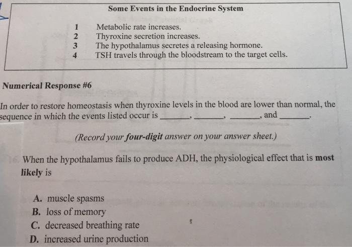 Solved Some Endocrine Glands 1 2 3 Humans release ACTH in | Chegg.com