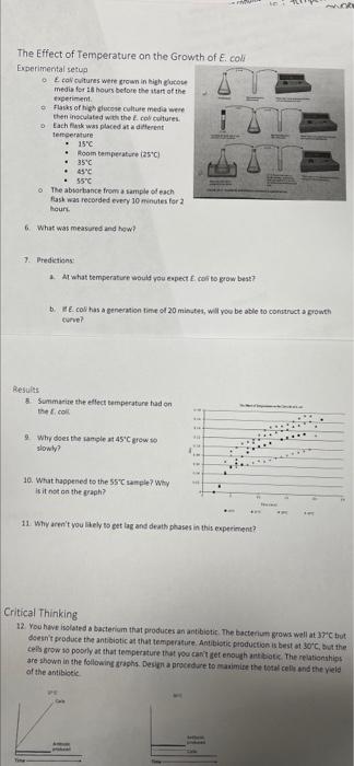 effect of temperature on e coli growth experiment