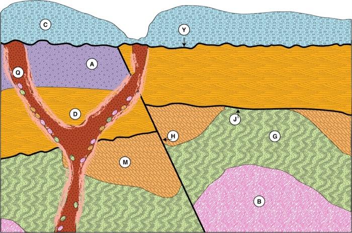 Solved The diagram above shows a cross-section of a | Chegg.com